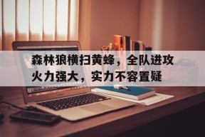 满冠体育apk-森林狼横扫黄蜂，全队进攻火力强大，实力不容置疑的简单介绍