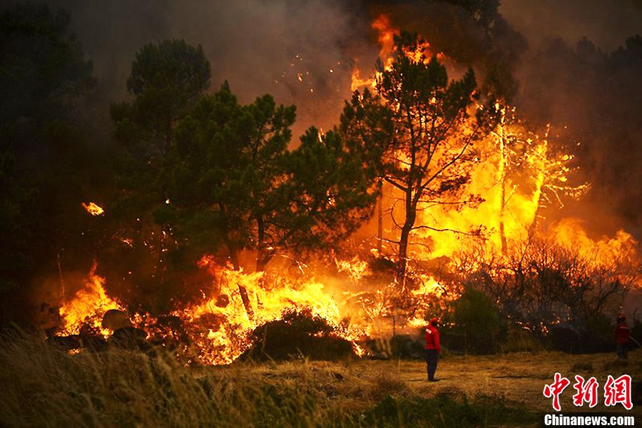 包含葡萄牙战平德国,居首困境愈演愈烈的词条 包含葡萄牙战平德国,居首困境愈演愈烈的词条